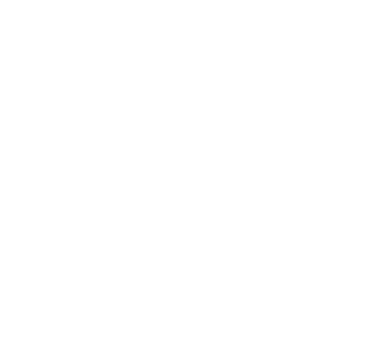 Diana Martínez Matrona